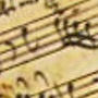 imm