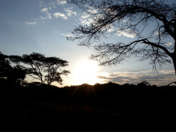 tramonto sulle colline di Patrick Mavros